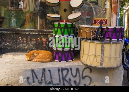 Istanbul, Türkei - 9. September 2019. Eine strasse Katze schläft friedlich außerhalb einer Music Shop auf einer belebten Straße im Stadtteil Galata von Beyoglu, Istanbul Stockfoto