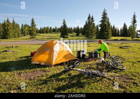 NM 00230-00 ... NEW MEXICO - bis in die frühen Morgenstunden auf einem Campingplatz in der Nähe des 10.000-Fuß-Markierung auf einem hohen Bergrücken im Santa Fe National Forest. Stockfoto