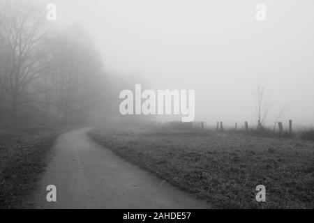 Lonley Pfad an einem nebligen Morgen im Norden Deutschlands Stockfoto