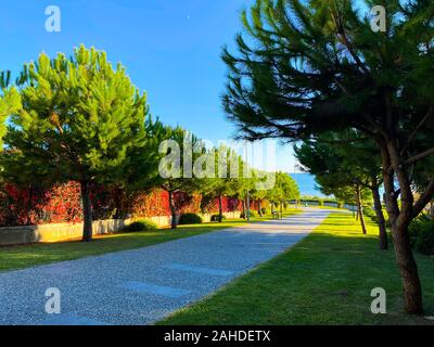 Der Weg durch den Park bis zum Mittelmeer. Sommer. Die Türkei. Landschaft. Stockfoto