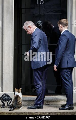 Michael Gove, konservative Minister, mit Kollegen, geben Sie Downing Street Nr.10, während Larry die Katze vor der Tür sitzt, London, UK Stockfoto