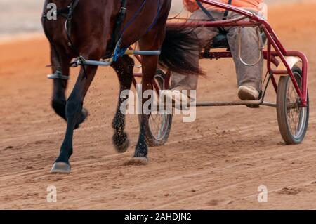 Pinehurst, North Carolina, USA. 28 Dez, 2019. Dez. 28, 2019 - Pinehurst, N.C., USA - ein Kabelbaum Racer im Winter Training an der Pinehurst Fahren & Training Club, Pinehurst Kabelbaum Track, Pinehurst, North Carolina. Viele Kabelbaum Racers aus dem Nordosten der USA kommen zu Pinehurst für das Wintertraining. Credit: Timothy L. Hale/ZUMA Draht/Alamy leben Nachrichten Stockfoto