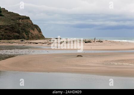 Strand- und Lagunenlandschaft Umgeben von Küstengebieten, im San Gregorio State Park, in der San Francisco Bay Area, Kalifornien, USA Stockfoto