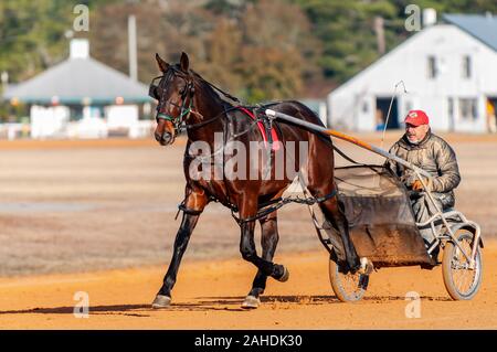 Pinehurst, North Carolina, USA. 28 Dez, 2019. Dez. 28, 2019 - Pinehurst, N.C., USA - HOMER HOCHSTETLER Übungen nach Westen im Winter Training an der Pinehurst Fahren & Training Club, Pinehurst Kabelbaum Track, Pinehurst, North Carolina. Homer Hochstetler Rennställe ist eine von vielen Kabelbaum Racers aus dem Nordosten der USA, die zu Pinehurst für das Wintertraining. Credit: Timothy L. Hale/ZUMA Draht/Alamy leben Nachrichten Stockfoto