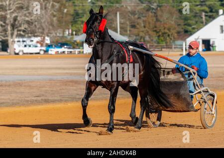 Pinehurst, North Carolina, USA. 28 Dez, 2019. Dez. 28, 2019 - Pinehurst, N.C., USA - JAY HOCHSTETLER Übungen BRO im Winter Training an der Pinehurst Fahren & Training Club, Pinehurst Kabelbaum Track, Pinehurst, North Carolina. Homer Hochstetler Rennställe ist eine von vielen Kabelbaum Racers aus dem Nordosten der USA, die zu Pinehurst für das Wintertraining. Credit: Timothy L. Hale/ZUMA Draht/Alamy leben Nachrichten Stockfoto