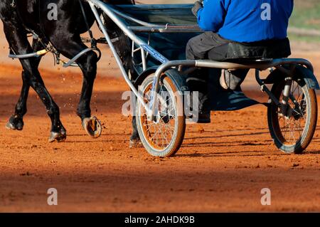 Pinehurst, North Carolina, USA. 28 Dez, 2019. Dez. 28, 2019 - Pinehurst, N.C., USA - ein Kabelbaum Pferd und Fahrer im Winter Training an der Pinehurst Fahren & Training Club, Pinehurst Kabelbaum Track, Pinehurst, North Carolina. Viele Kabelbaum Racers aus dem Nordosten der USA kommen zu Pinehurst für das Wintertraining. Credit: Timothy L. Hale/ZUMA Draht/Alamy leben Nachrichten Stockfoto