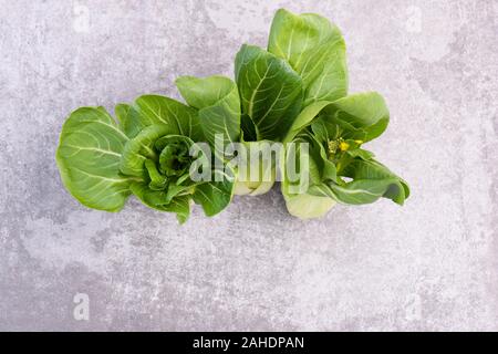 Pak Choi auf einem grauen strukturierten Hintergrund, leere Raum Stockfoto