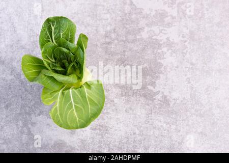 Pak Choi auf einem grauen strukturierten Hintergrund, leere Raum Stockfoto