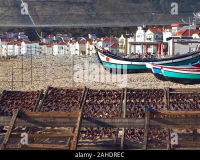 Makro von Stockfisch, gesalzene Fische trocknen in der Sonne in Nazare in Portugal Stockfoto