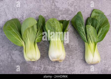 Pak Choi auf einem grauen strukturierten Hintergrund, leere Raum Stockfoto