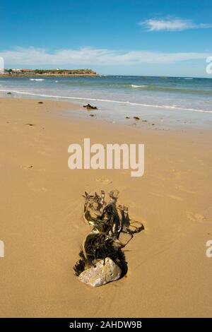 Gamboa Strand Peniche Portugal Estremadura Stockfoto