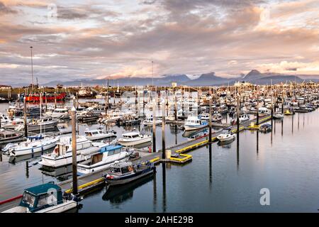 Sonnenuntergang über der City von Homer Port & Hafen Marina auf die Kachemak Bucht mit Blick auf die Kenai Mountains in Homer, Alaska. Stockfoto