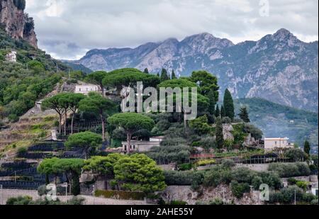 Gärten in Ravello, Italien im Schatten von Pinien Bäumen und von Torre dello Ziro gesehen Stockfoto