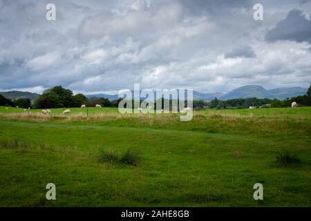 Hawkshead und Umgebung, Lake District, Großbritannien Stockfoto