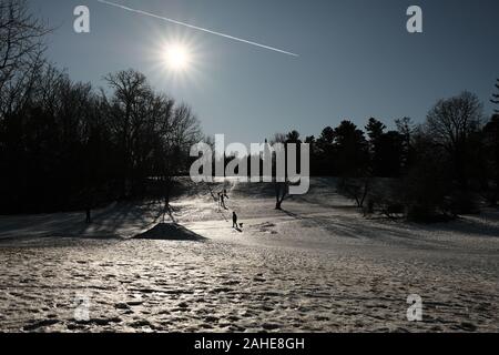 Sonnenuntergang über dem ausgezeichneten Toboggan Hill im Arboretum, Dow's Lake, Ottawa, Ontario, Kanada. Stockfoto