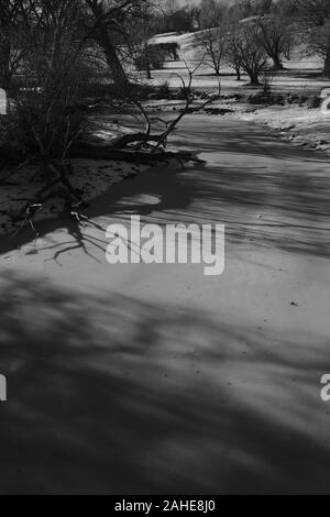 Schwarz-weiß-Bild von einem Bach im Winter eingefroren. Das Arboretum, Dow's Lake, Ottawa, Ontario, Kanada. Stockfoto