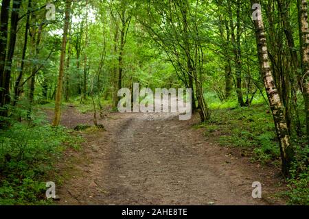 St Michael and All Angels Church und Umgebung, Hawkshead, Lake District, Großbritannien Stockfoto