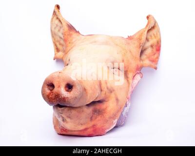 Gehacktes Schweinefleisch Kopf auf weißem Hintergrund. Schweinefleisch Konzept isoliert close-up Stockfoto