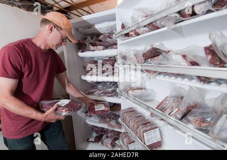 Bruce Johnson bei Dragonfly Farm Vorräte Rindfleisch, das von seinem Freilandhaltung, Gras-fed produziert wurde und sehr stress-freie Rinder in Beaverdam, VA, am Freitag, 6. Mai 2011. Libelle und andere Betriebe produzieren Fleisch Produkte aufgelistet und auf Lulus lokales Essen Website bestellt und mit der Hilfe von anderen Lieferanten teilnehmenden mit Fall Line Farmen essen Hub verteilt. Zusammen bieten sie eine breite Palette von Haushalts Grundnahrungsmittel und spezielle Produkte. Die Mitglieder wählen Ihre individuelle Bestellungen aus einem ständig wechselnden saisonalen bestand aus Obst, Gemüse, Fleisch, Seifen, Eier, Käse, Blumen, Honig, Nudeln, sau Stockfoto