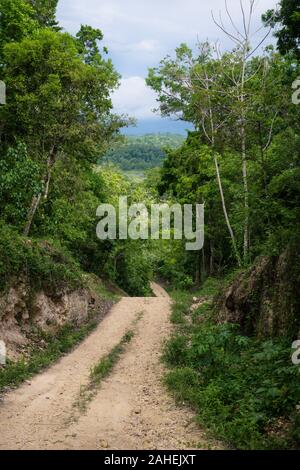 Unbefestigte Straße durch den grünen Dschungel Berge mit Bäumen von Peten vertikale, El Remate, Guatemala Stockfoto