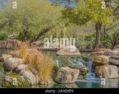 Wasser fallen an der Hymne in der Sonora Wüste, Maricopa County, Arizona, USA Stockfoto