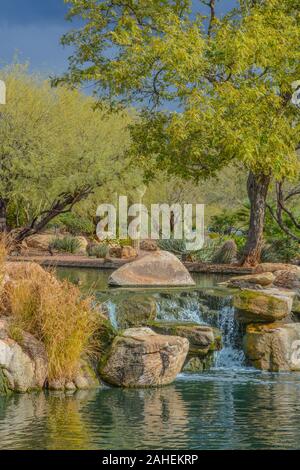 Wasser fallen an der Hymne in der Sonora Wüste, Maricopa County, Arizona, USA Stockfoto