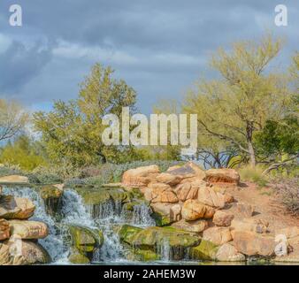 Wasser fallen an der Hymne in der Sonora Wüste, Maricopa County, Arizona, USA Stockfoto