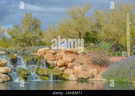 Wasser fallen an der Hymne in der Sonora Wüste, Maricopa County, Arizona, USA Stockfoto