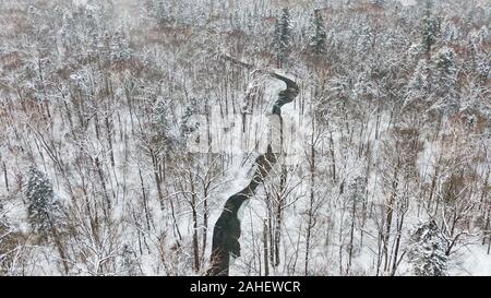 Luftbild von der Oberseite der schneebedeckten Berg Kiefern in der Mitte des Winters. Stockfoto