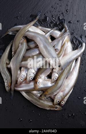 Haufen von rohem roch Fische auf einem schwarzen Schiefer Oberfläche Stockfoto