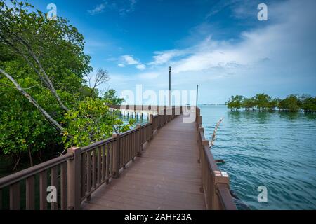 Die Mangrove Tree innerhalb einer glückseligen Sonnenschein auf Pulau Burung, Pantai Cahaya Negeri, Port Dickson Stockfoto