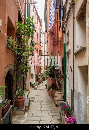 Schmale Straße von Vernazza, Cinque Terre, UNESCO-Weltkulturerbe, Ligurien, Italien Stockfoto