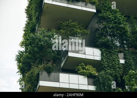 Bäume wachsen auf dem Balkon eines Wohnhauses. Die Umwelt und Alltag. Stockfoto