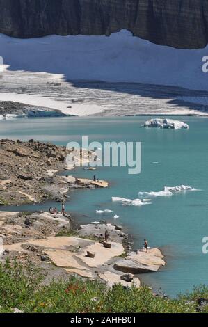 Bergziege am Grinnel-Gletscher Stockfoto