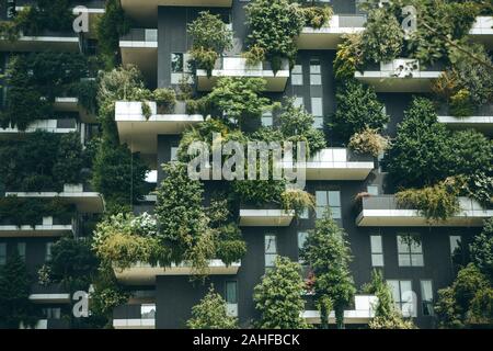 Bäume wachsen auf dem Balkon eines Wohnhauses. Die Umwelt und Alltag. Stockfoto