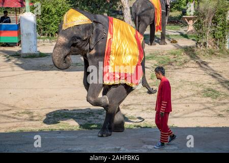 SAMUT PRAKAN, Thailand, 18. Mai 2019 Leistung eines trainierten Elefanten in einem thailändischen Zoo. Die traditionelle Show mit Elefanten auf offener Szene. Stockfoto