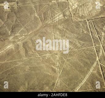 Luftaufnahme der Condor. Die Nazca-linien sind eine Gruppe von sehr großen geoglyphen von Depressionen oder seichte Einschnitte in den Boden der Nazc gemacht Stockfoto