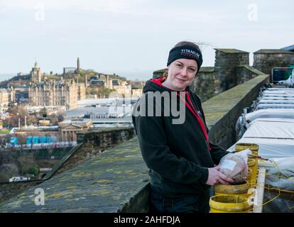 Die Burg von Edinburgh, Edinburgh, Schottland, Großbritannien. 29. Dezember 2019. Neue Jahr Feuerwerk Vorbereitungen: Titan Feuerwerk, einer der größten Feuerwerk Unternehmen in Großbritannien bereiten ca. 4.200 Feuerwerk auf der Stadtmauer von Edinburgh Castle, die für dieses Jahr Hogmanay feiern. Im Bild: Lynn Wiseman, pyrotechnikers Stockfoto