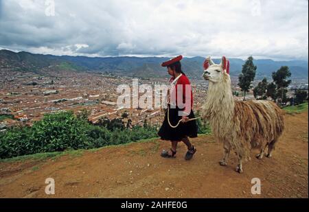 Indigene Frau in bunten Kleidern zu Fuß ein Lama, Cusco, Peru Stockfoto