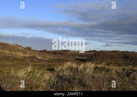 Dünenlandschaft, Sanddünen, Dünengras im Westen von Borkum, Insel