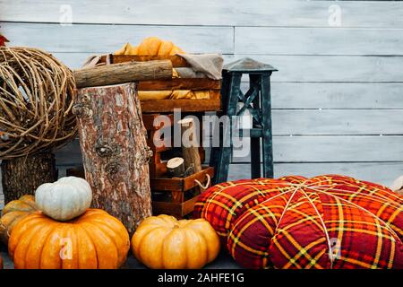 Reife orange Kürbis Dekor für Herbst essen Stockfoto