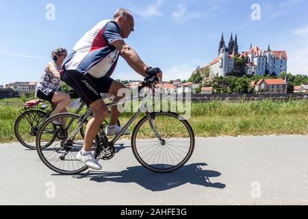 Meissen Deutschland Ältere Menschen Fahrradfahren entlang der Elbe Fahrradfahren Meißen Deutschland Radweg Sachsen Radfahren Deutschland Radfahren alte Menschen Stockfoto