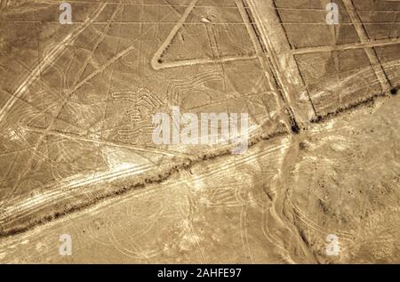 Luftaufnahme der Spider Form. Die Nazca-linien sind eine Gruppe von sehr großen geoglyphen von Depressionen oder seichte Einschnitte im Boden gebildet. Stockfoto