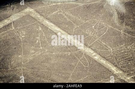 Luftaufnahme der Wal Form. Die Nazca-linien sind eine Gruppe von sehr großen geoglyphen von Depressionen oder seichte Einschnitte in den Boden der gemacht Stockfoto
