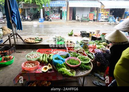 Vietnam hat viele Straße an Verkaufsständen und auf Märkten verkaufen alles von lebende Frösche zu Shell Fische und andere Waren. Stockfoto