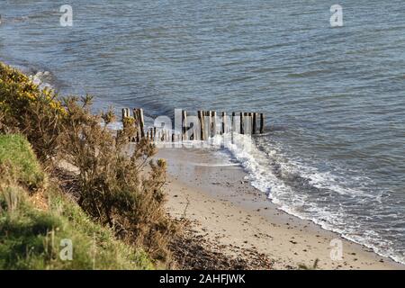 Raue Wellen waschen sich an einem Wintertag gegen verrottete Holzgroyne am Lepe Country Park Beach, Southampton, Hampshire, Großbritannien, 2019 Stockfoto