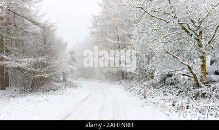 Schnee am Elleron, in der Nähe von Cropton auf der North York Moors Stockfoto