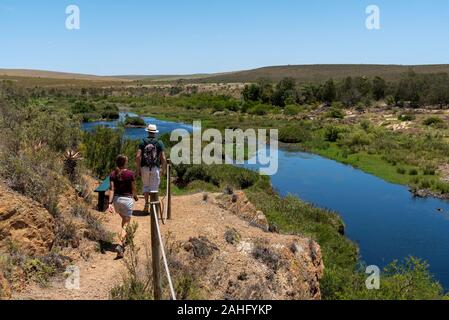 Swellendam, Western Cape, Südafrika. Dezember 2019. Paar eine Spur neben dem Breede River an der Garden Route, Swellendam Stockfoto