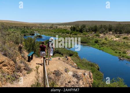 Swellendam, Western Cape, Südafrika. Dezember 2019. Paar eine Spur neben dem Breede River an der Garden Route, Swellendam Stockfoto