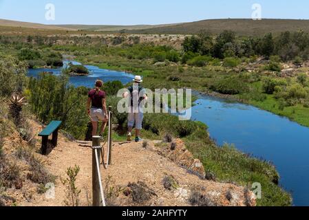 Swellendam, Western Cape, Südafrika. Dezember 2019. Paar eine Spur neben dem Breede River an der Garden Route, Swellendam Stockfoto